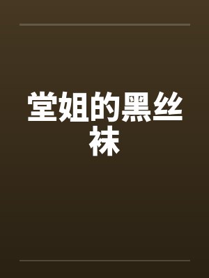 堂姐的黑丝袜封面