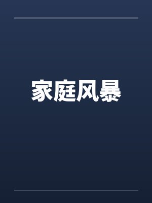 家庭风暴小说封面