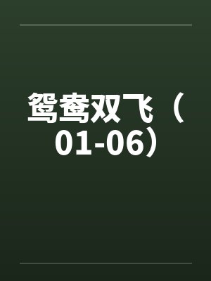 鸳鸯双飞（01-06）封面