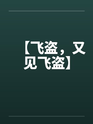 【飞盗，又见飞盗】封面