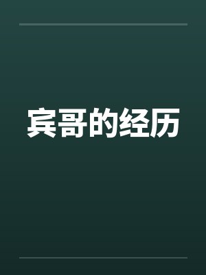 宾哥的经历by佚名封面