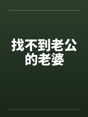 找不到老公的老婆by佚名封面
