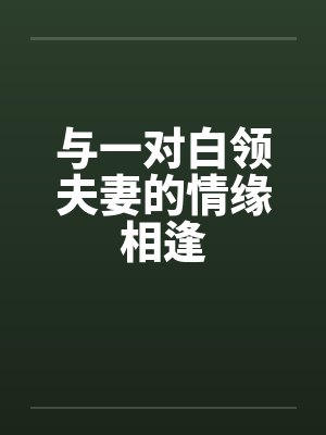 与一对白领夫妻的情缘相逢封面