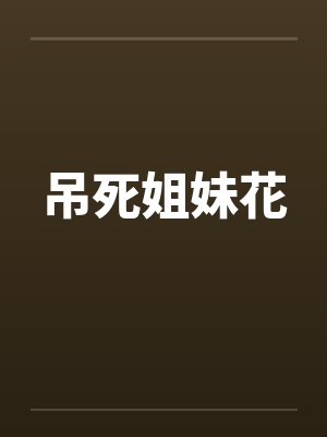 吊死姐妹花封面