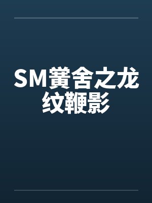 SM黉舍之龙纹鞭影by佚名笔趣阁无弹窗封面