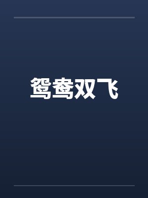 鸳鸯双飞by佚名笔趣阁无弹窗封面