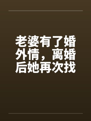 老婆有了婚外情，离婚后她再次找到我by佚名笔趣阁无弹窗封面